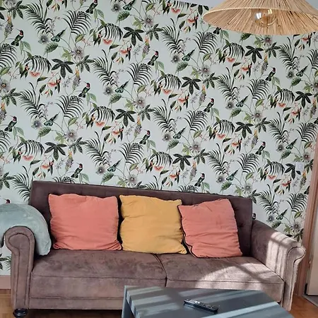 T2 Avec Terrasse Daire